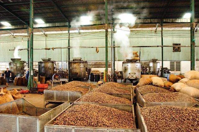 Hệ thống máy hấp nhiệt hiện đại trong quy trình chế biến hạt điều quy mô công nghiệp