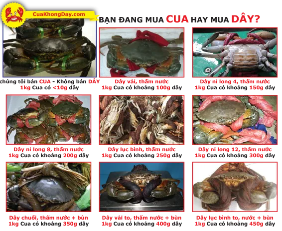 Miễn phí giao hàng cua tươi sống tại TP.HCM