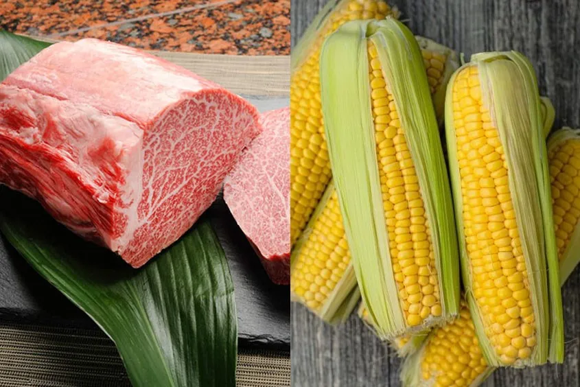 Nấu cháo thịt bò ngô ngọt cho bé ăn dặm