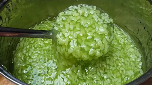 Cốm được nấu khéo léo để giữ nguyên hương thơm và màu xanh bắt mắt