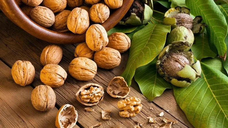 Hạt óc chó giàu omega-3 và folate giúp phát triển não bộ ở trẻ nhỏ