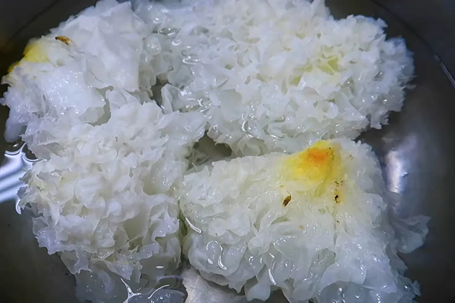 Ngâm bông tuyết vào trong nước