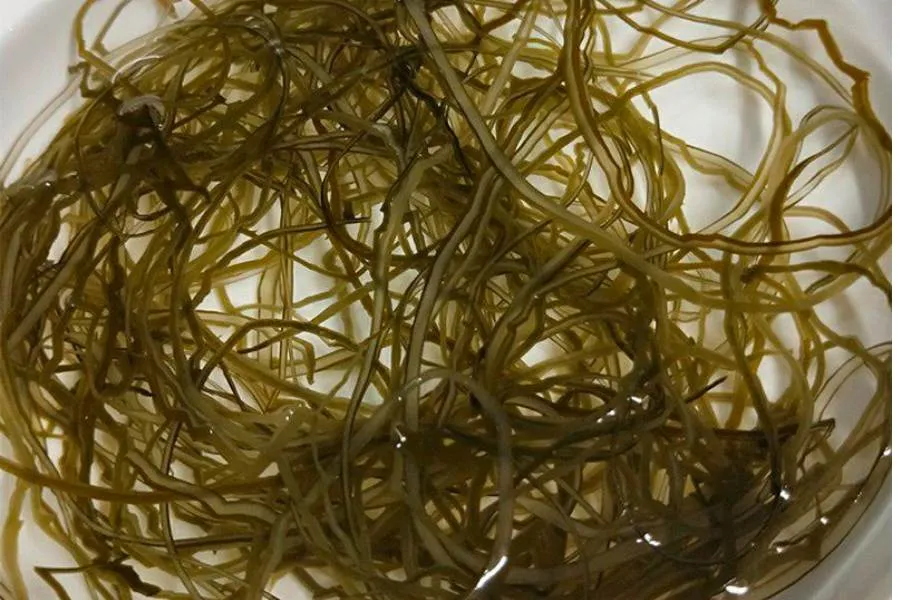 Ngâm phổ tai vào trong nước