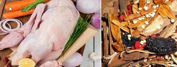 Nguyên liệu chính cho món vịt tiềm thuốc bắc
