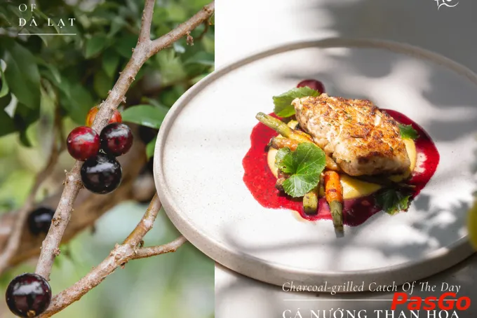 Cá nướng than hoa sốt nho thân gỗ tại Chefs Dalat