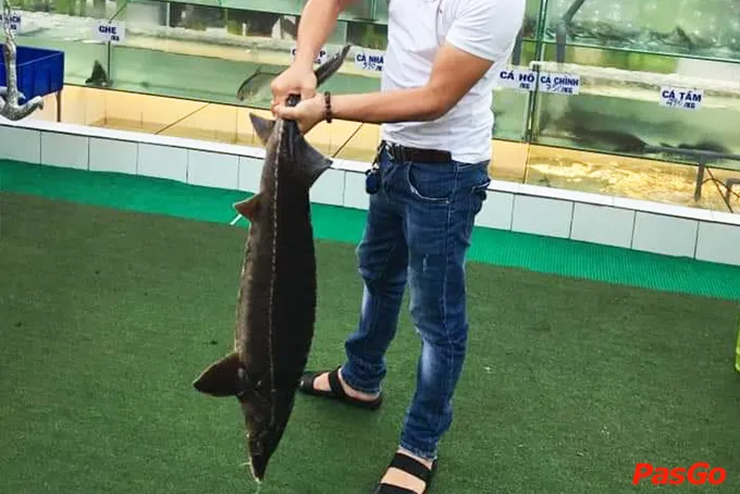 Chợ Hải Sản – Nguyễn Thị Đặng-3