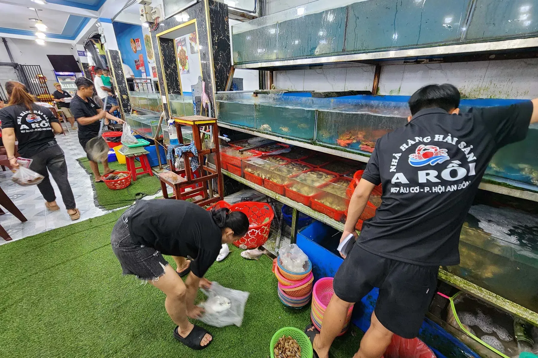 Hệ thống bể hải sản tươi sống