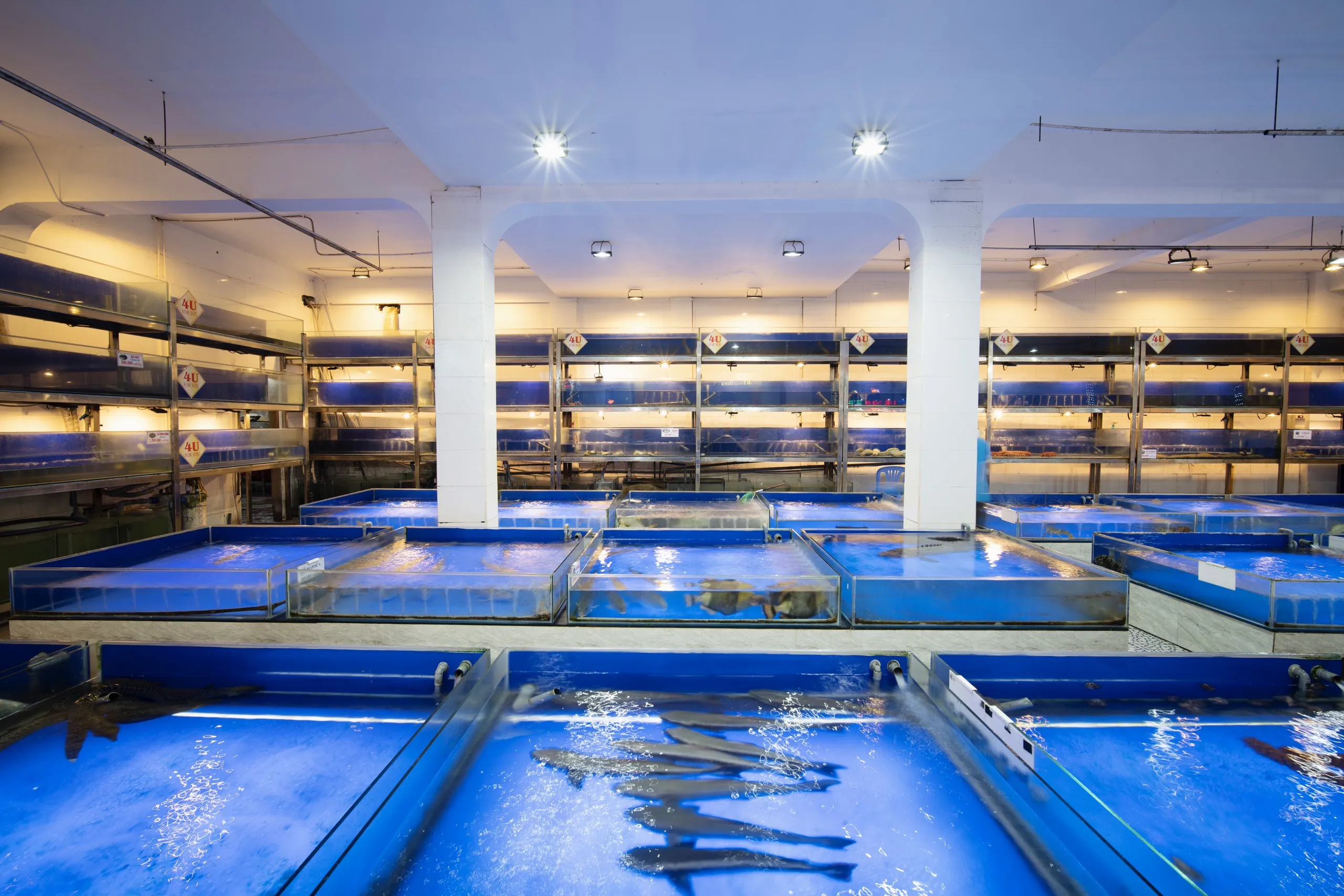 Hồ hải sản tươi sống tại nhà hàng For You Đà Nẵng