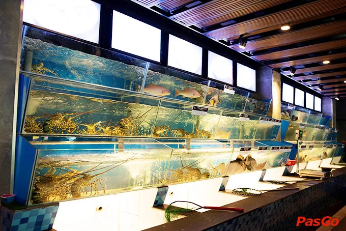 Khu bể chứa hải sản tươi sống ấn tượng của nhà hàng