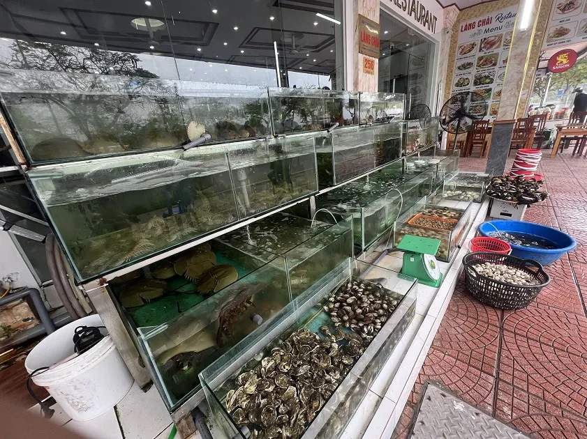 Nhà hàng Làng Chài quán ăn ngon Cát Bà