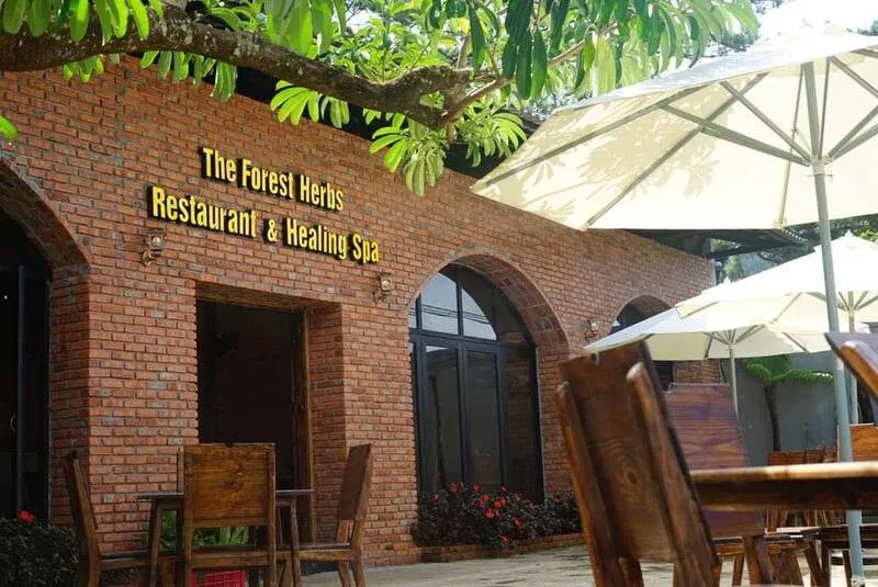 Không gian The Forest Herbs với kiến trúc gỗ truyền thống Tây Nguyên
