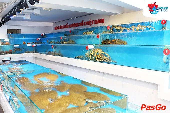 Thế Giới Hải Sản Hà Đông với không gian sang trọng