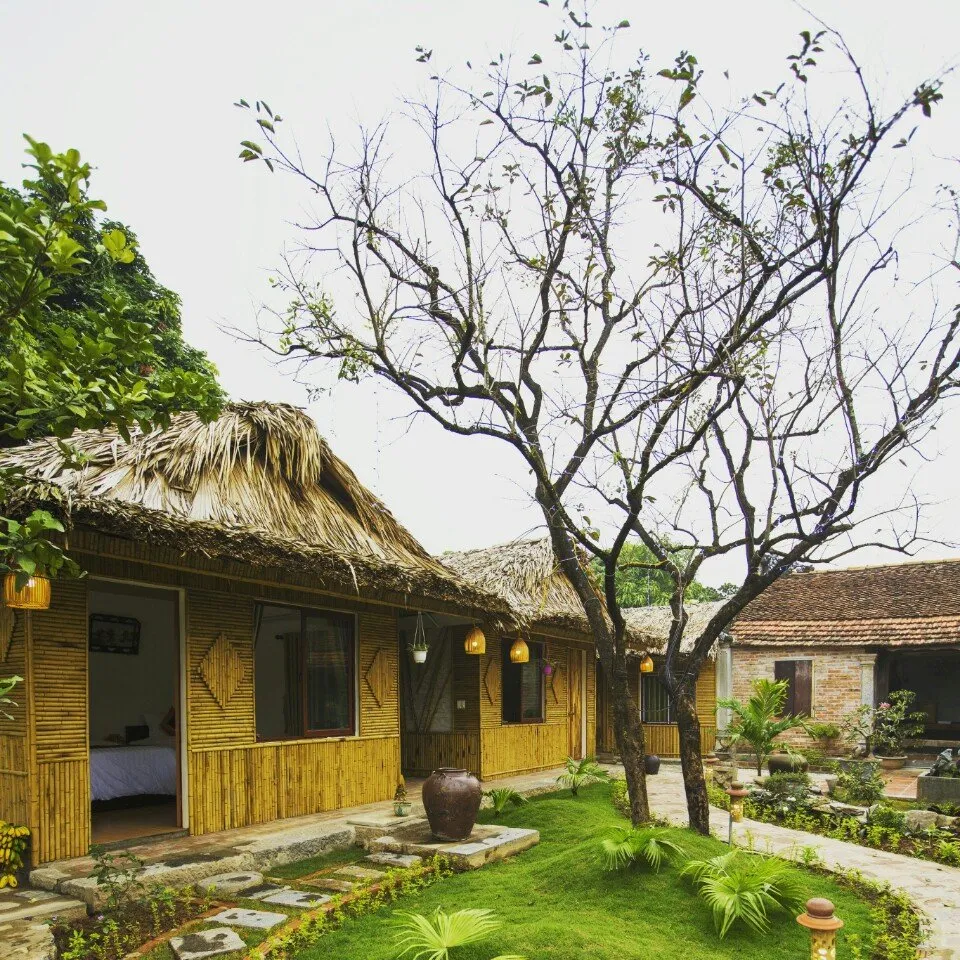 Nhà lợp mái lá cọ