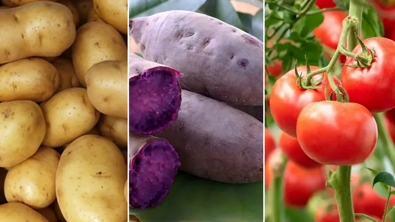 Khoai tây và cà chua là những loại rau củ kỵ nhau khi nấu nước dashi