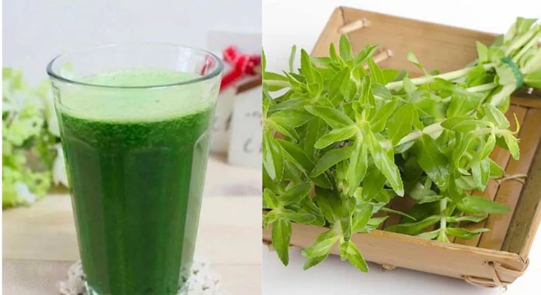 Nước rau ngổ đã lọc, có màu xanh nhạt và đang được rót vào bình