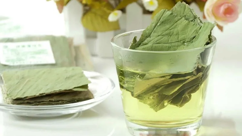 Nước lá sen hỗ trợ giảm mỡ bụng