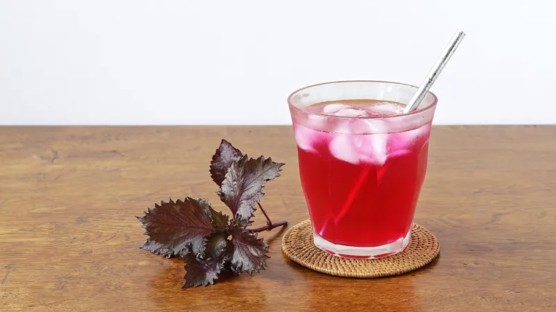 Nước lá tía tô hỗ trợ giảm mỡ và cải thiện sức khỏe