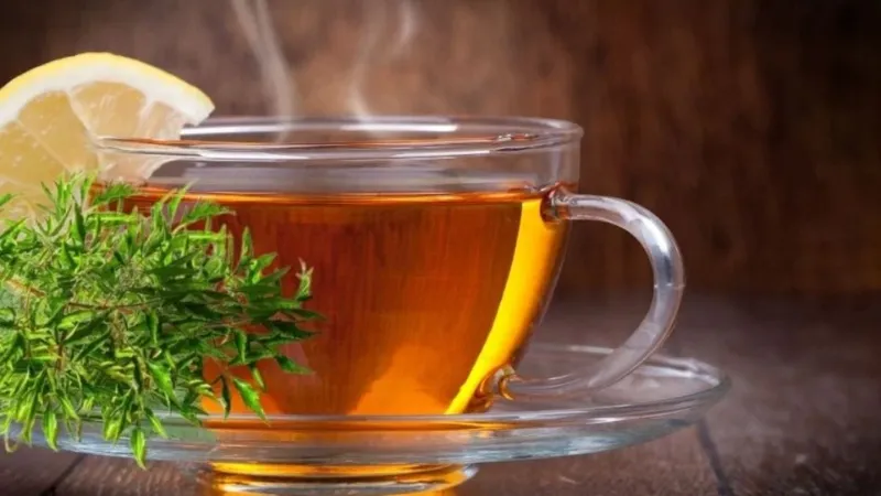 Nước lá đinh lăng hỗ trợ lợi tiểu và giảm mỡ bụng