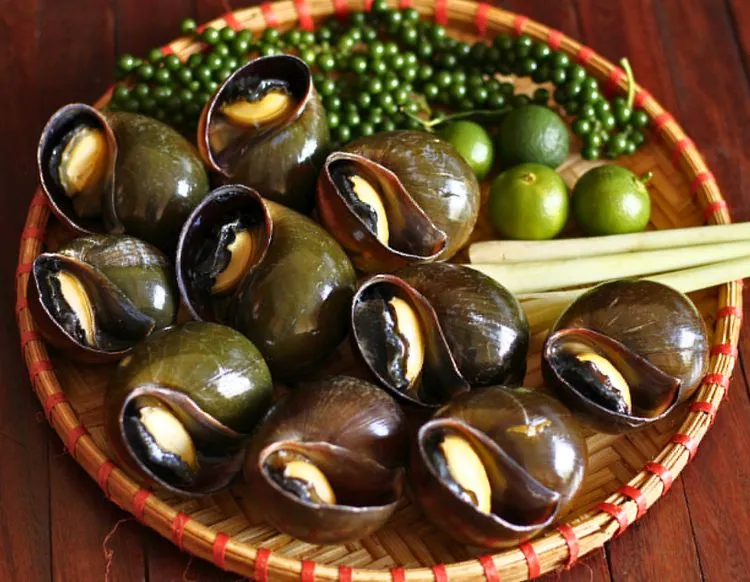 Các nguyên liệu tươi ngon cần thiết để thực hiện món ốc nướng tại nhà
