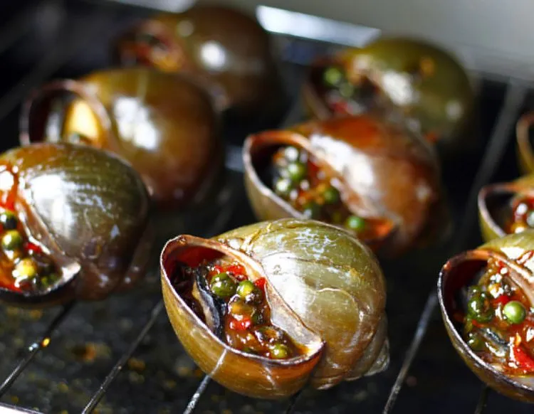 Ốc bươu được nướng trực tiếp trên bếp than hồng cho hương vị thơm ngon nhất