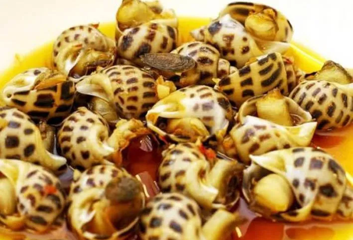 Ốc Hương Hòa Sầm Sơn