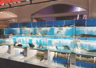 Tại Vietnam Home Restaurant, du khách có thể tự chọn hải sản tại hồ