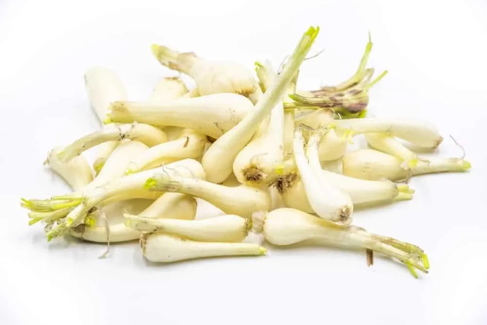 Rau củ sơ chế để làm dưa món ngâm nước mắm