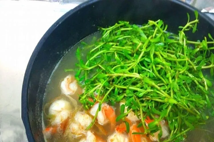 Bát canh rau đắng nấu tôm giúp thanh nhiệt cơ thể hiệu quả