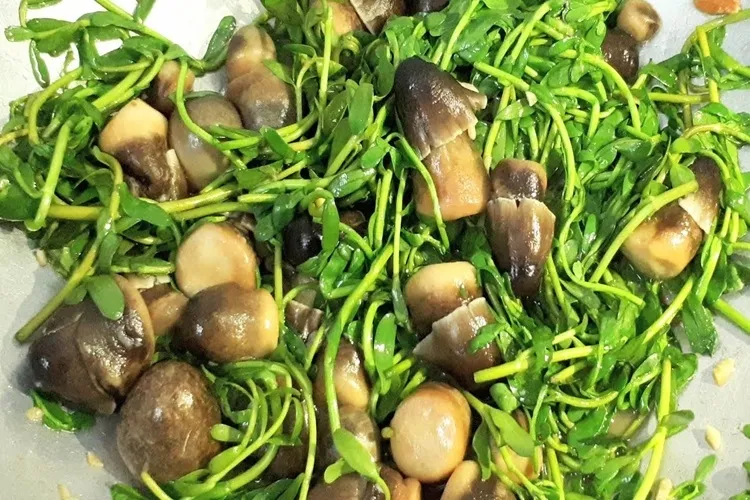 Món rau đắng xào nấm rơm thơm ngon và vô cùng thanh đạm