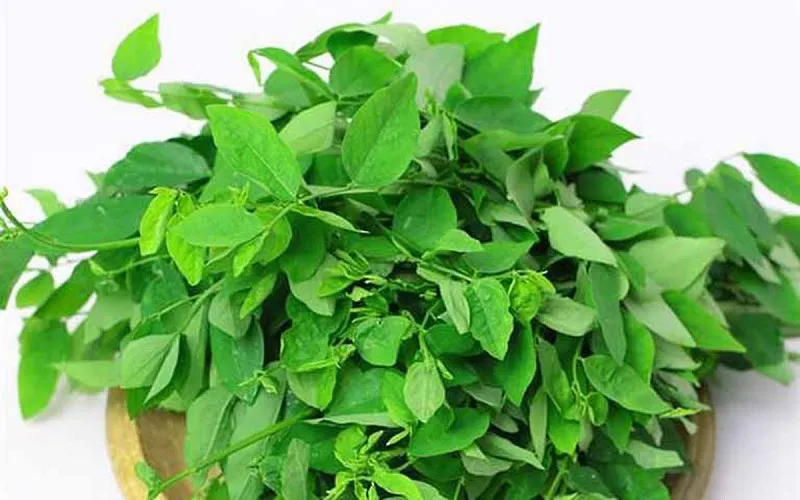 Cháo thịt bò rau ngót thanh mát