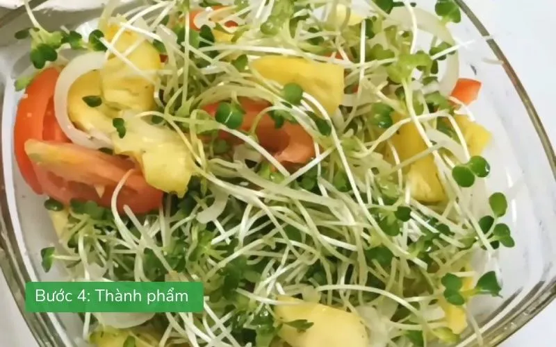 Salad rau mầm trộn dầu giấm tươi giòn, màu sắc hấp dẫn
