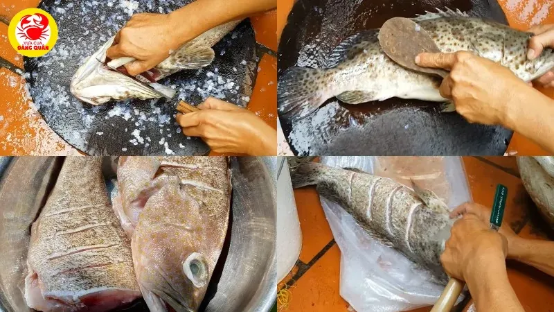 Sơ chế cá mú tươi ngon