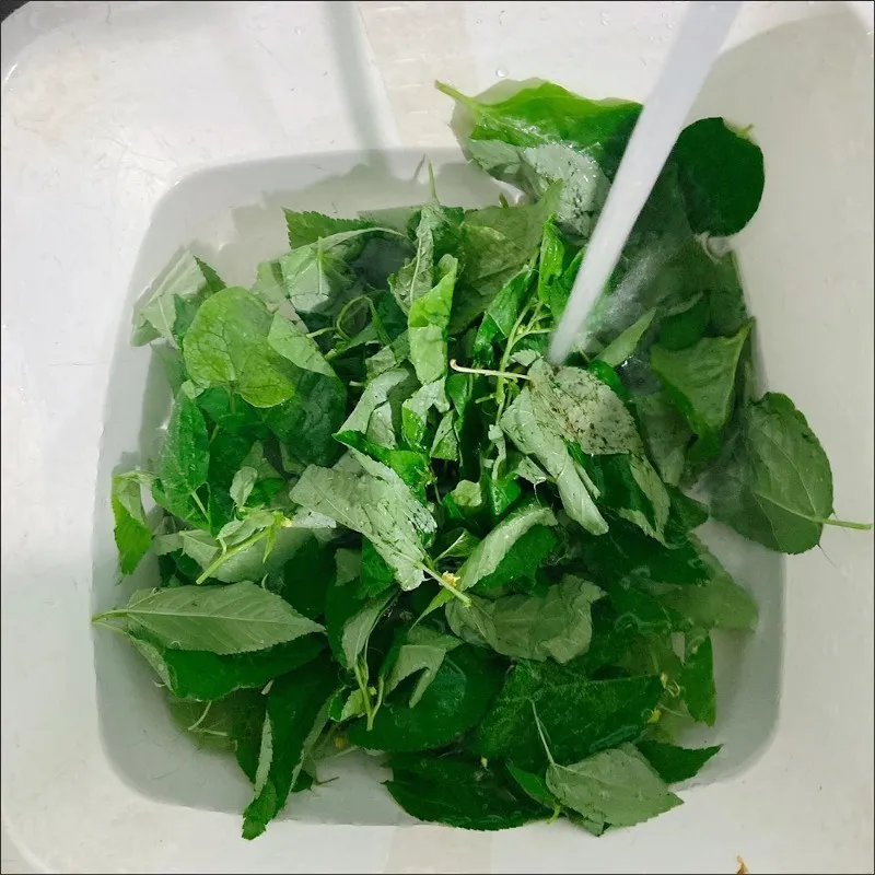 Quy trình sơ chế rau đay sạch sẽ giúp món canh giữ được màu sắc đẹp mắt