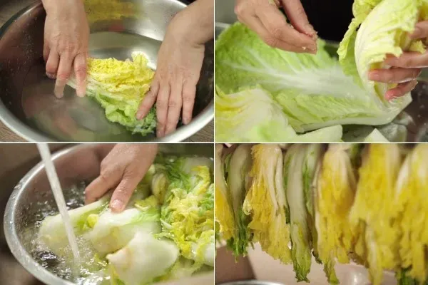 Cách sơ chế cải thảo trước khi muối kim chi