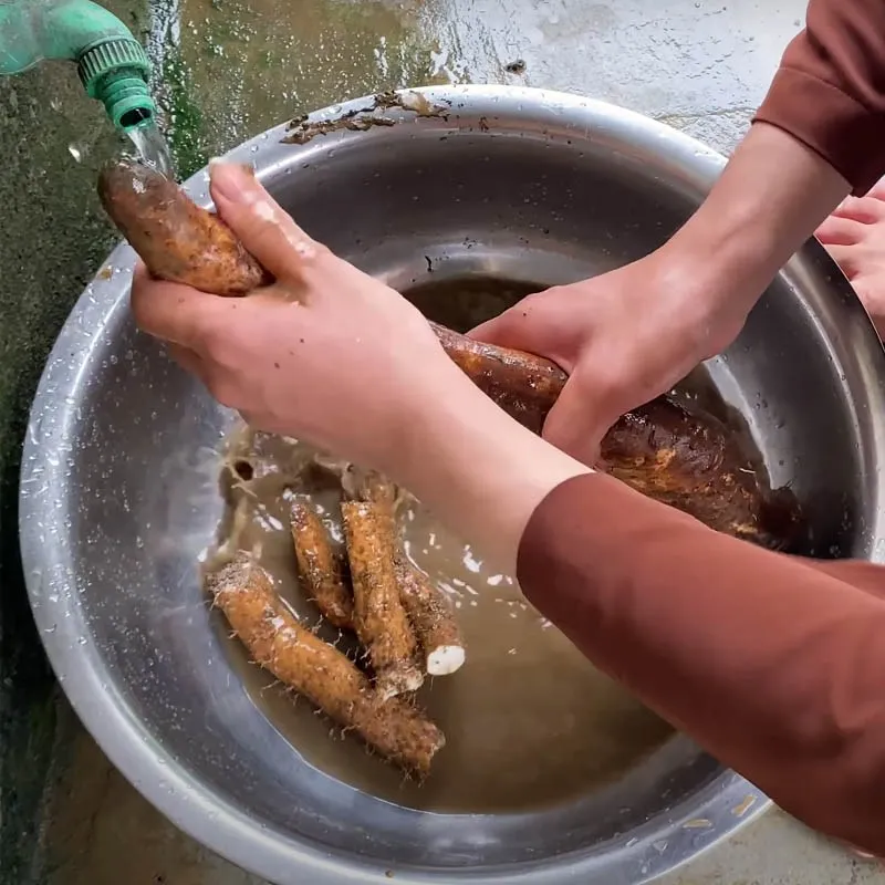 Sơ chế và luộc củ mài