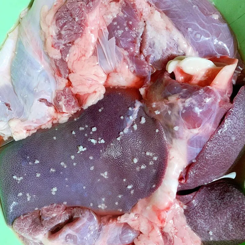 Thực hiện sơ chế lòng heo sạch sẽ đảm bảo an toàn vệ sinh