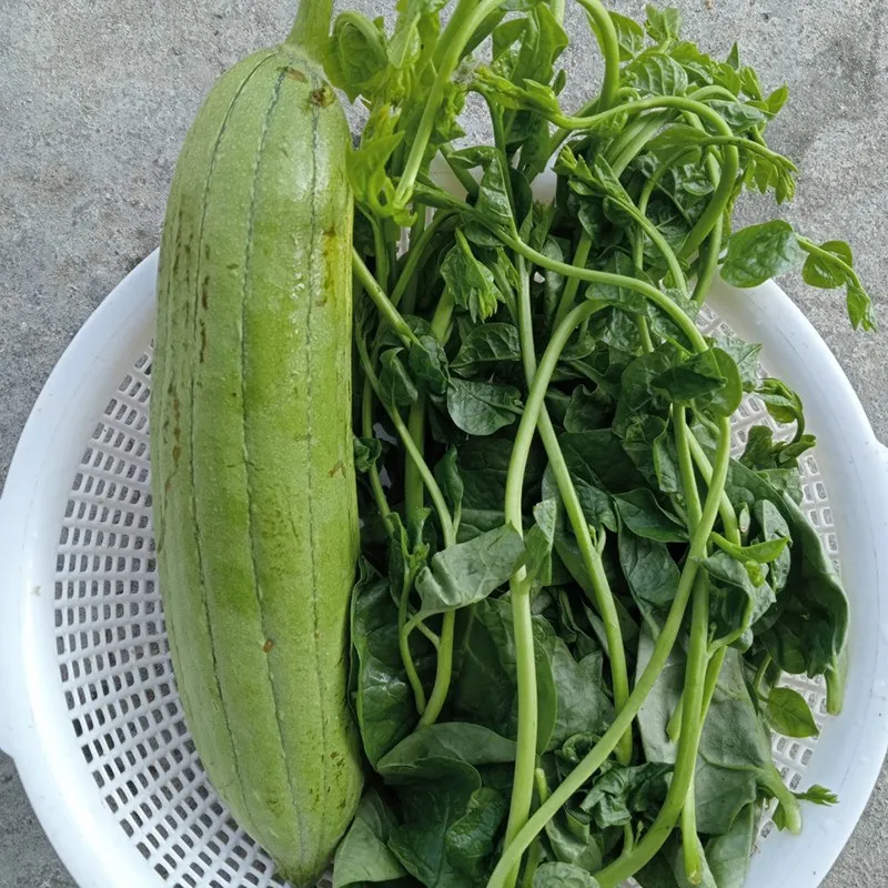 Sơ chế mướp cho món canh