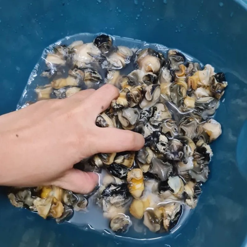 Bước 1 Sơ chế ốc bươu Bún ốc bươu sườn non