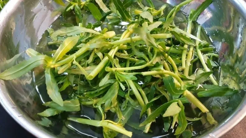 Các bước sơ chế rau ngổ bằng nước muối loãng trước khi nấu