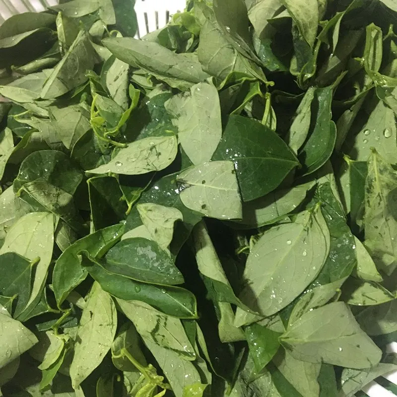 Vò nhẹ lá rau ngót giúp nước canh ngọt thanh và lá rau mềm dễ ăn hơn