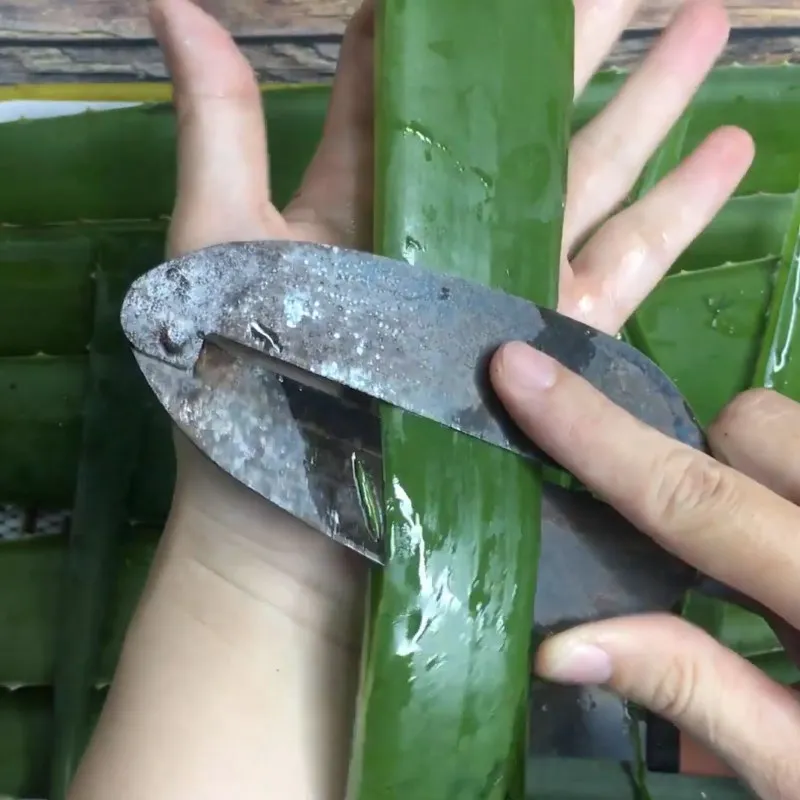 Cắt hạt lựu nha đam