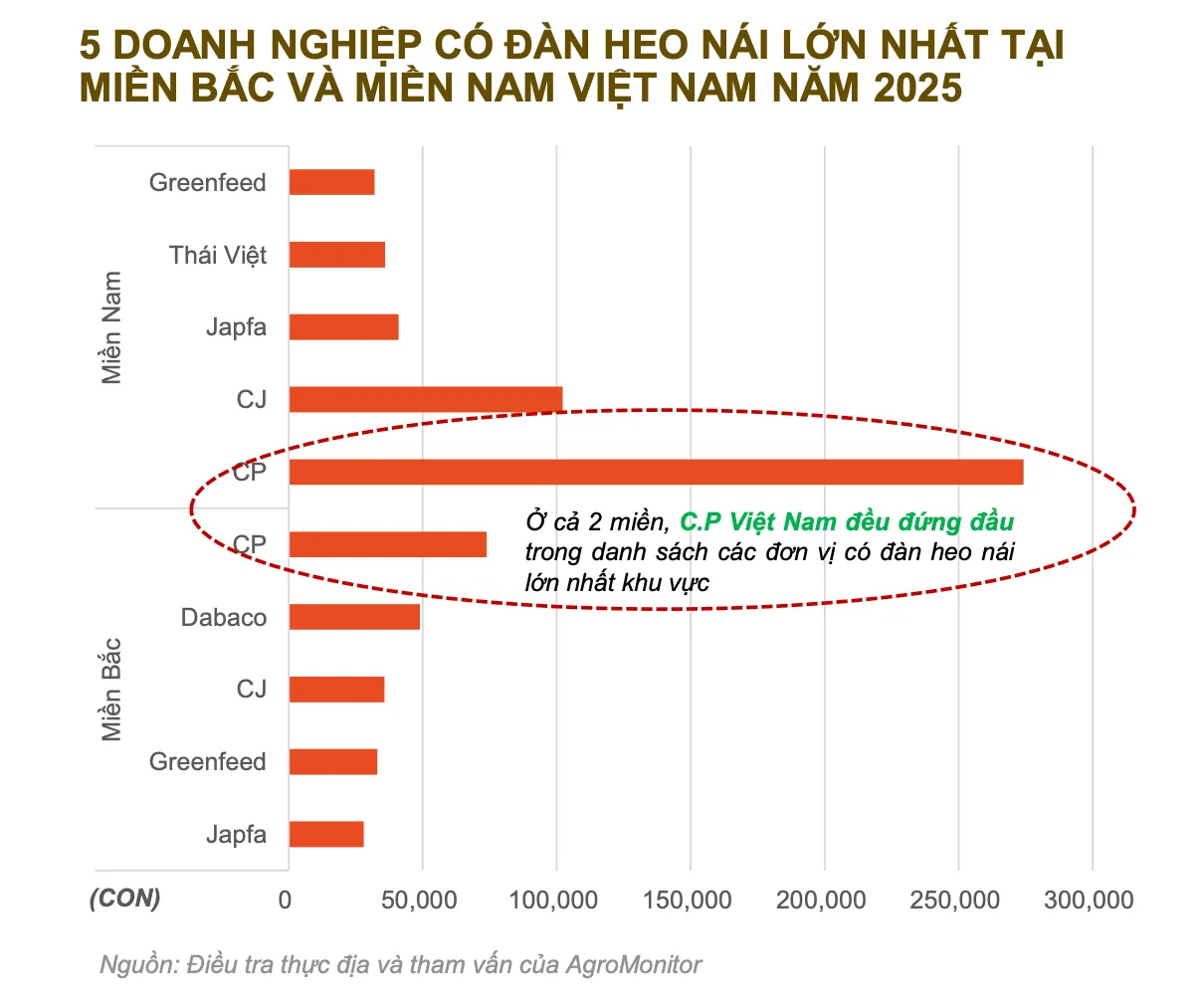 Hệ thống chuồng trại nuôi heo nái công nghệ cao tại Việt Nam