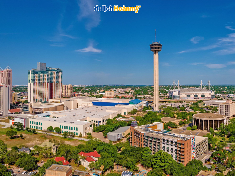 Khám Phá 10 Cách Nấu Canh Rong Biển Ngon Chuẩn Vị, Thanh Nhiệt Tuyệt Vời