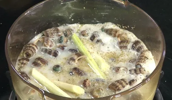 Thêm sả cây đập dập vào nồi giúp cách nấu ốc len xào dừa thêm phần nồng nàn