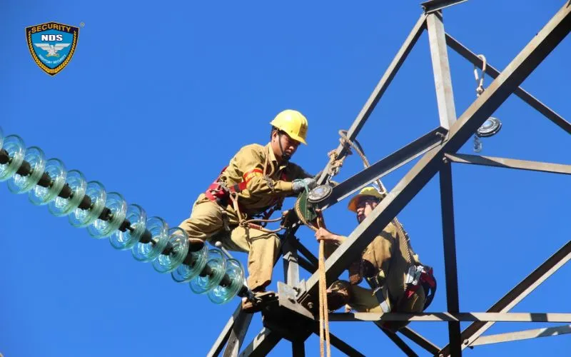 Dây đai bảo hộ khi làm việc trên hệ thống điện treo cao của nhà hàng