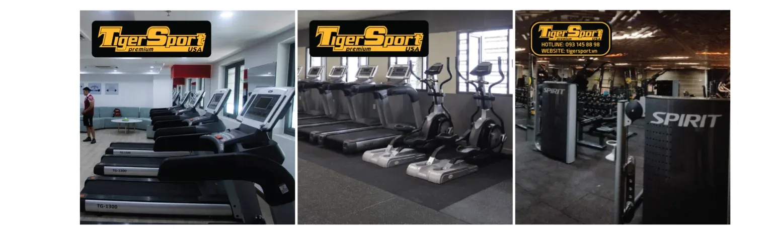 Thương hiệu gym nhập khẩu