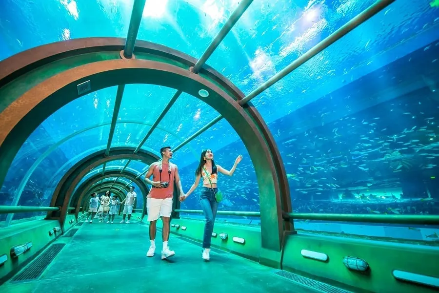 Thủy cung VinWonders Phú Quốc