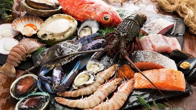 Thế giới hải sản phong phú từ đại dương