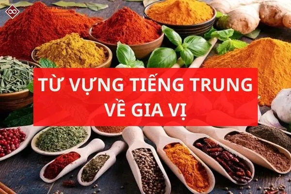 Từ vựng tiếng Trung về gia vị