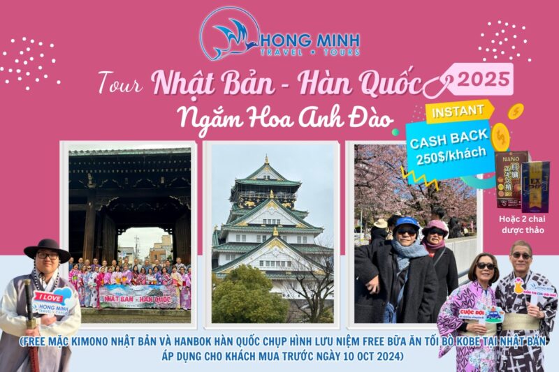 Khám Phá Hương Vị Xứ Kim Chi Tại Nhà Hàng Hàn Quốc Korea
